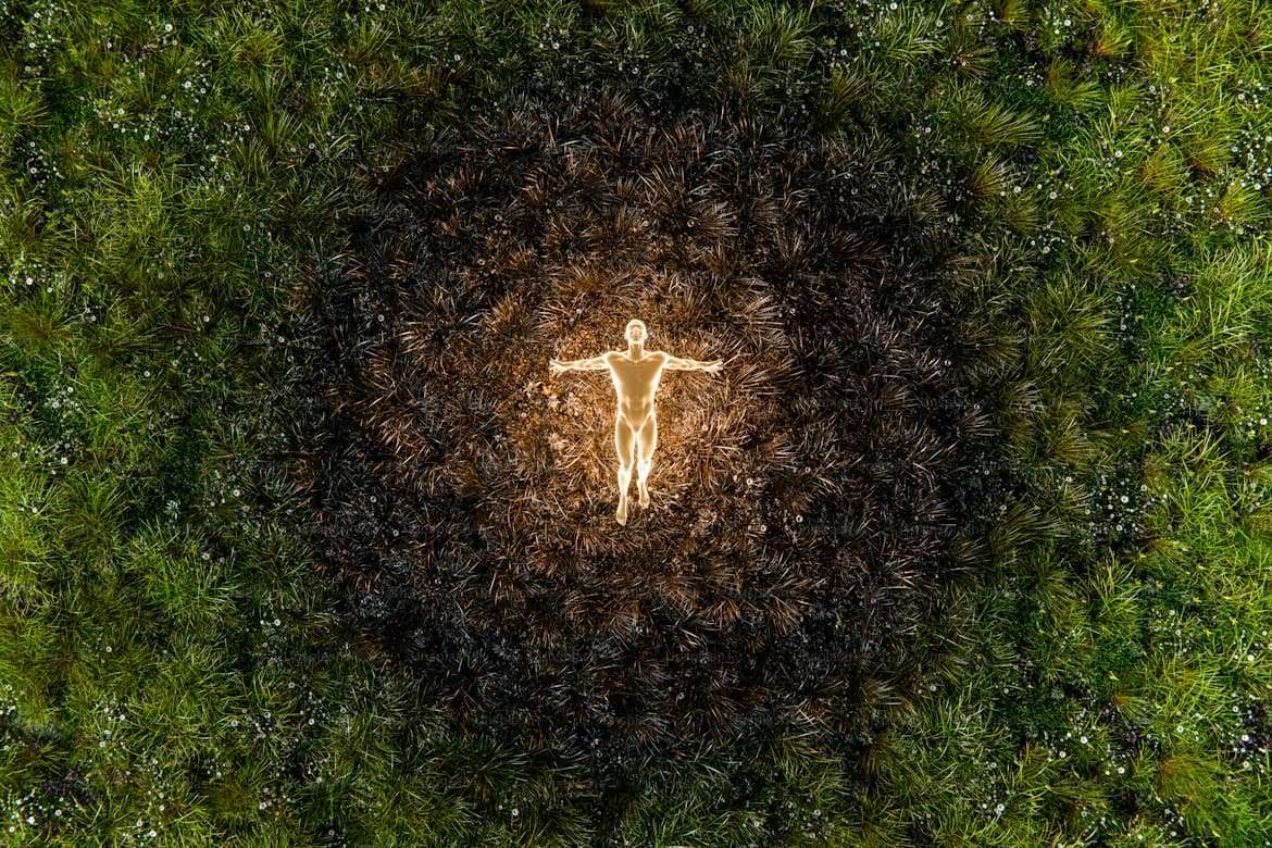 新岁，愿你如春草勃发