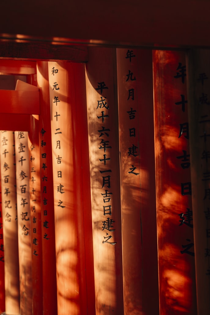 在泥泞中跳一支没有尽头的舞，读完《撒旦探戈》的那个下午，窗外在下雨。