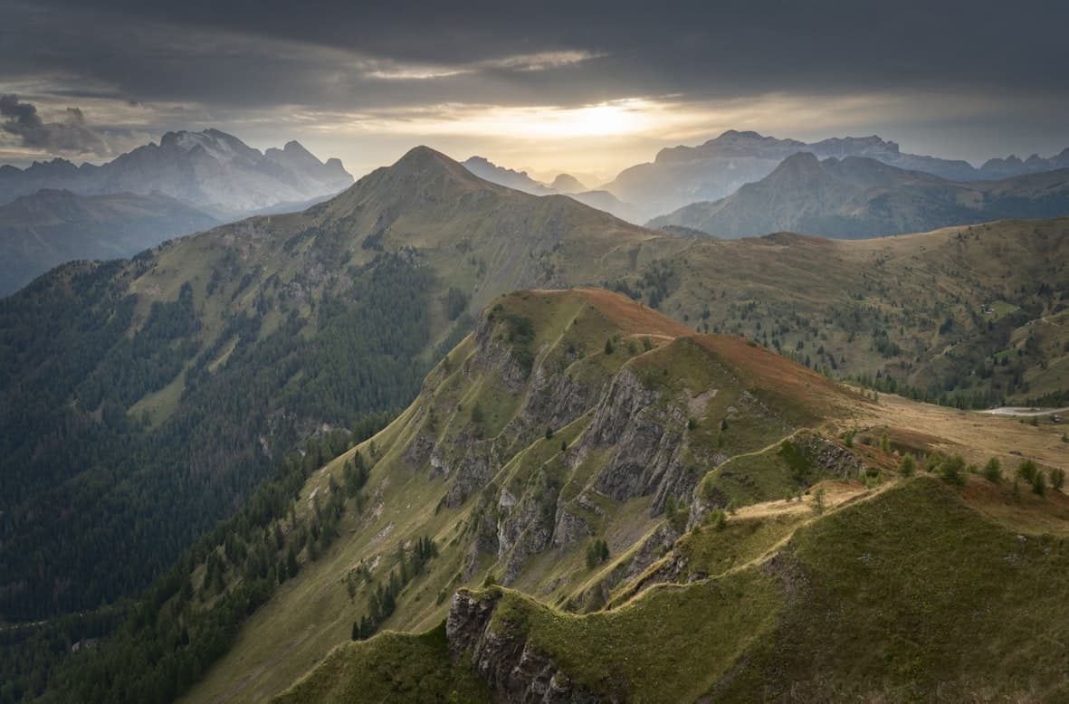 王朔的《动物凶猛》读高中时代的一本小说