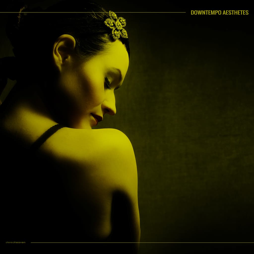 [Downtempo] 群星（Various Artists）- Downtempo Aesthetes：为品味者准备的精致缓拍盛宴